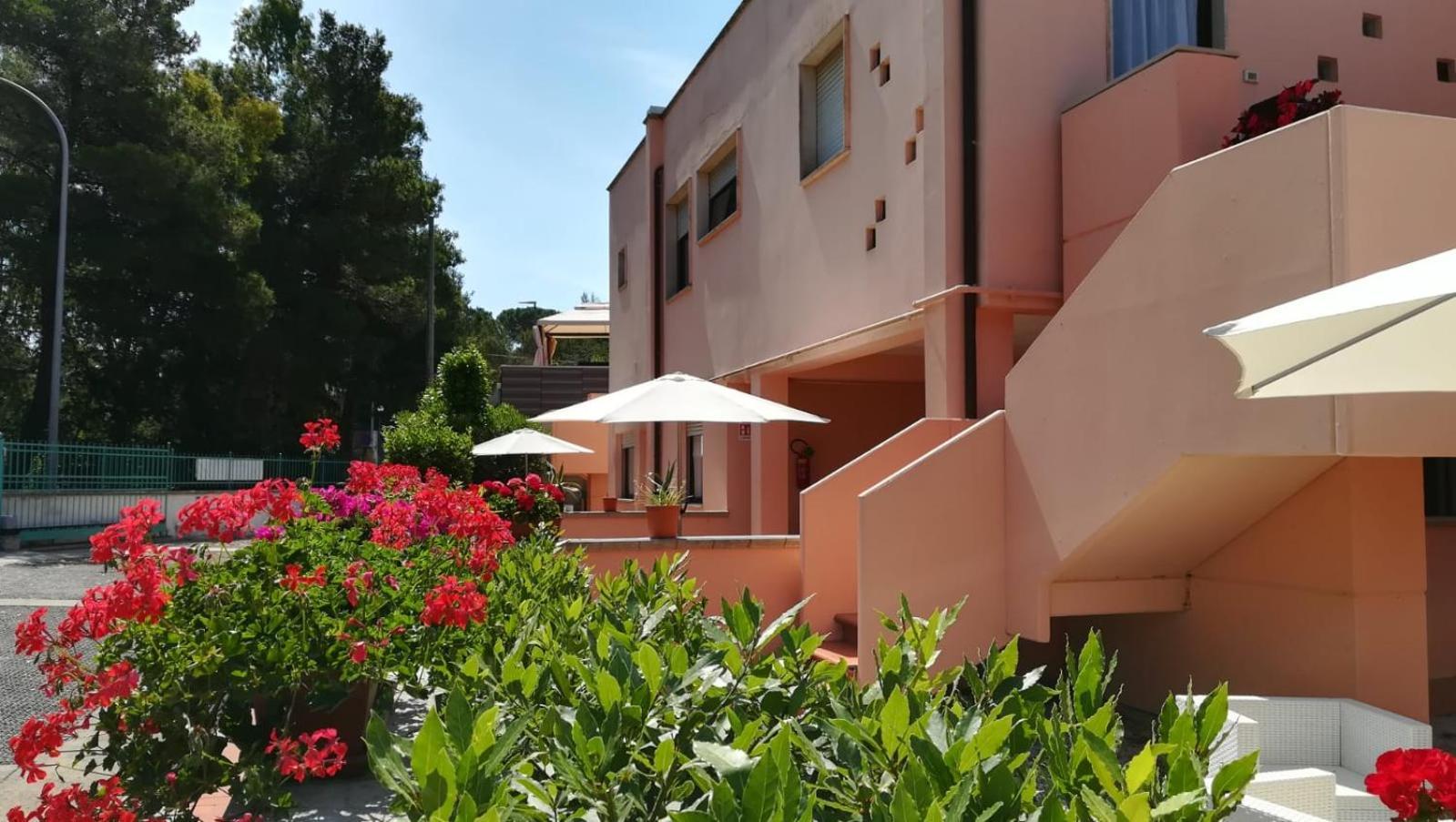 Lido I Palmizi Apartment Capoliveri  Exterior photo